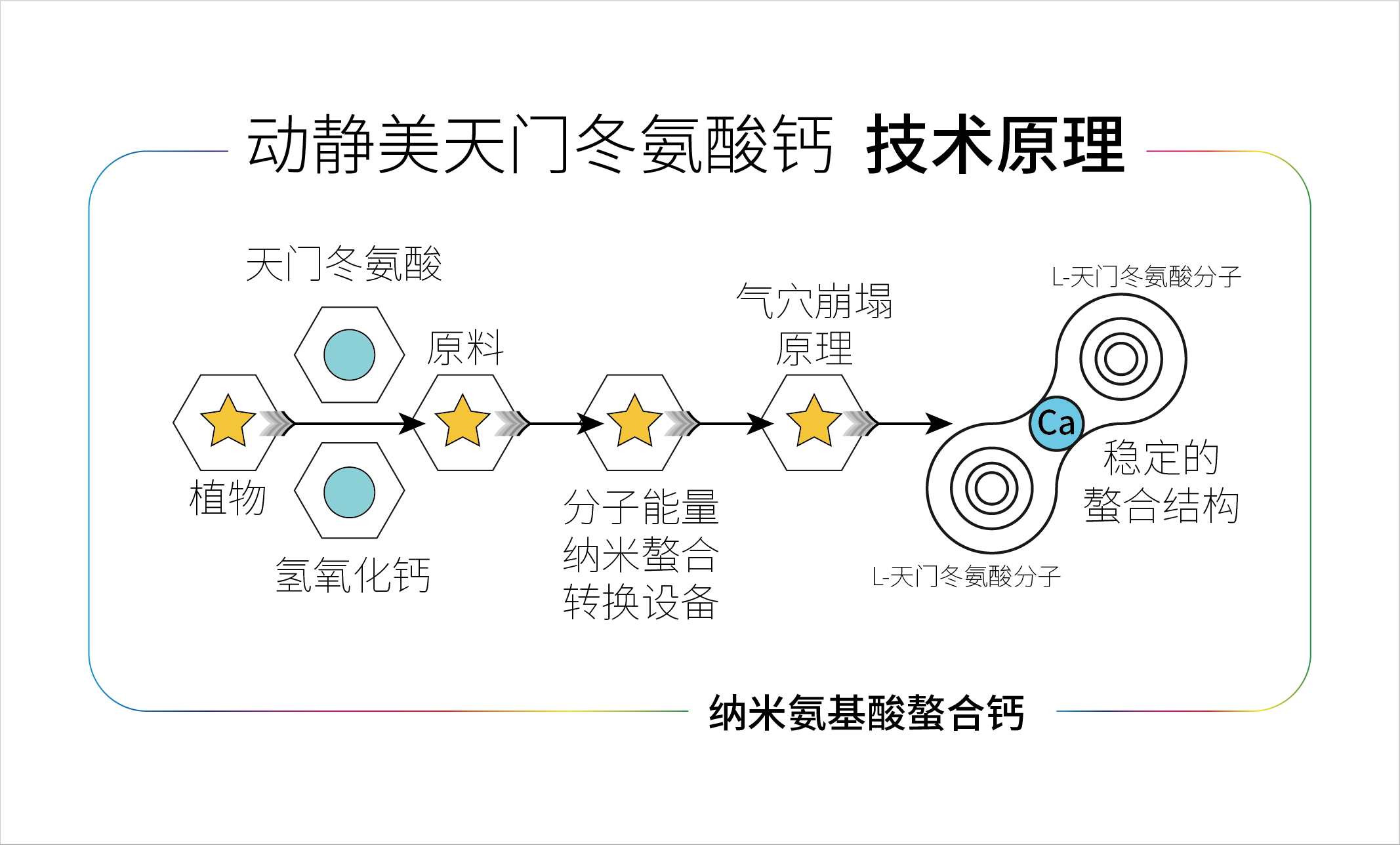 天门冬氨酸钙 氨基酸螯合钙 强化钙的生产技术原理