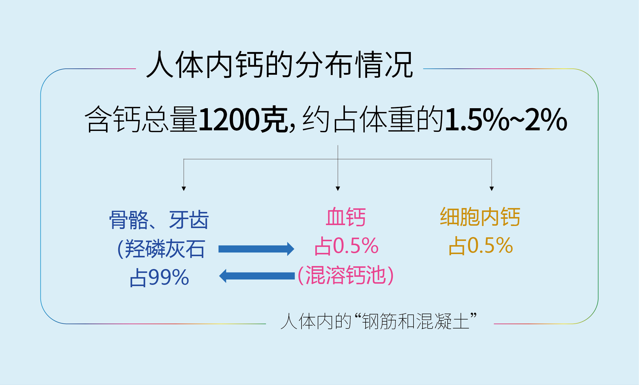 天门冬氨酸钙_人体内钙的分布情况